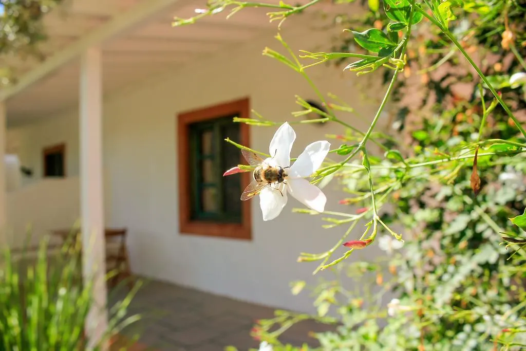 Fazendinha - Tavira - Spacious And Tranquil-1