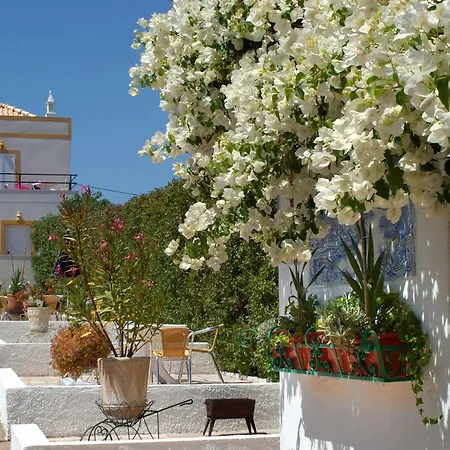 Monte Dos Avos Village - Pet Friendly-2